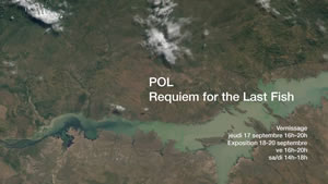 Requiem For The Last Fish